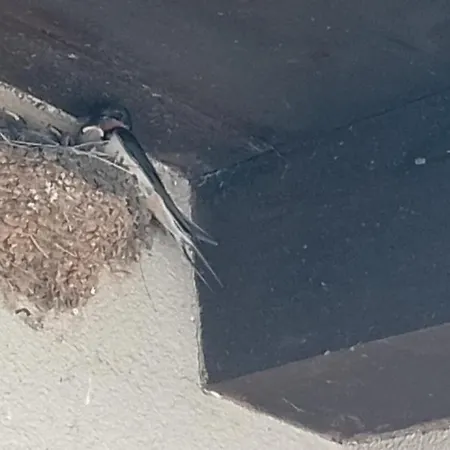 Hébergement de vacances Haus Stepcich *