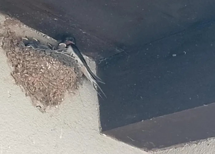 Feriehus Haus Stepcich *